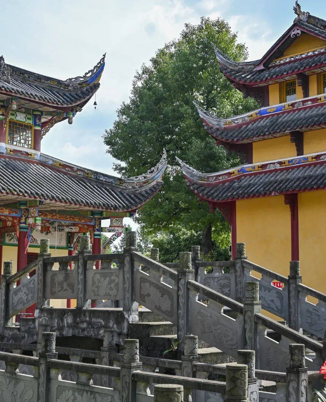 寺院_白衣_佛门