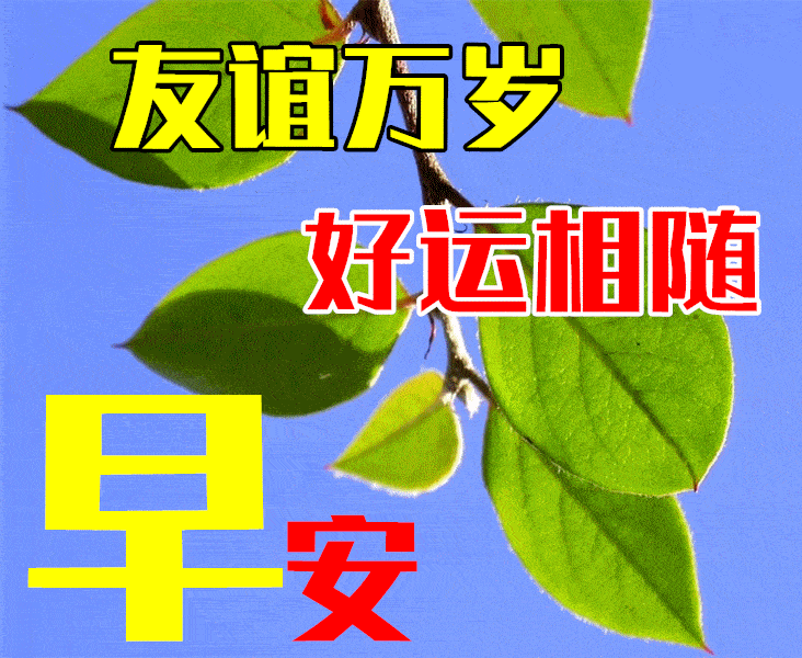 9月21日秋天早上好动态表情图片大全,早晨好动图美图大全_人生_满则