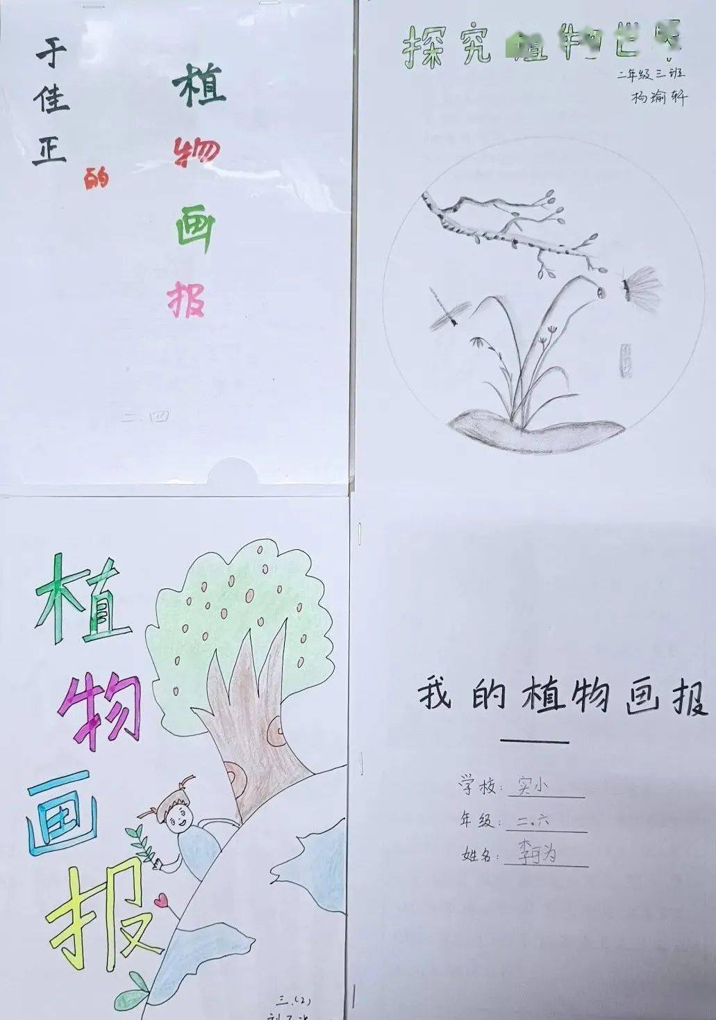 觀察月亮是怎麼一天天由月牙變成圓盤,又從圓盤變成月牙的,畫出月相的