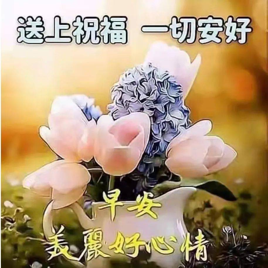 早上好问候语（送上祝福，一切安好）_运来_日月_万事通