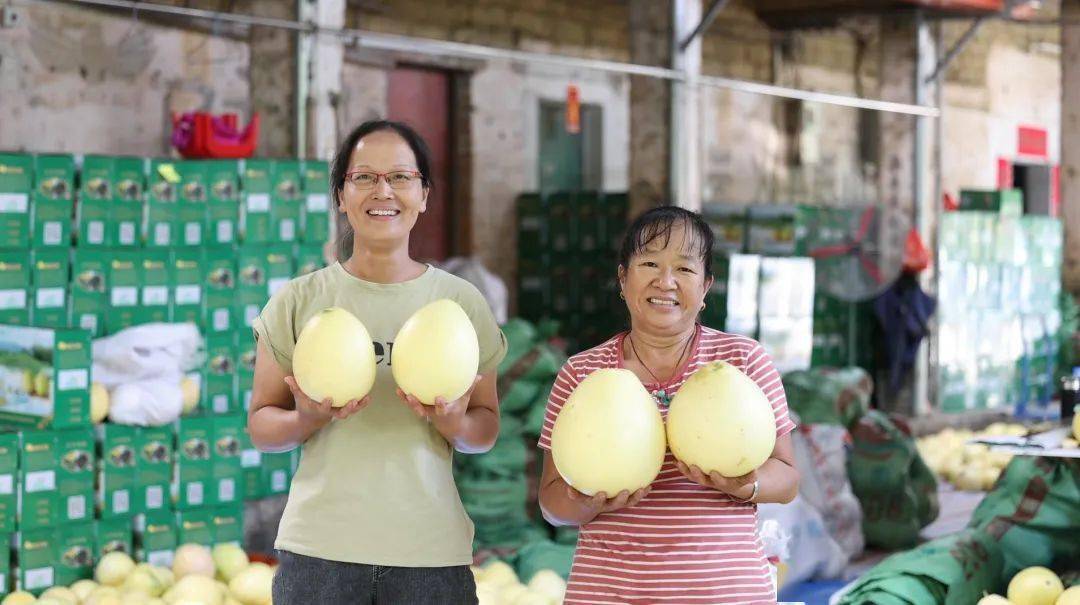 丰收的笑脸,是这个季节里最动人的表情_博罗_长宁镇_柏塘镇