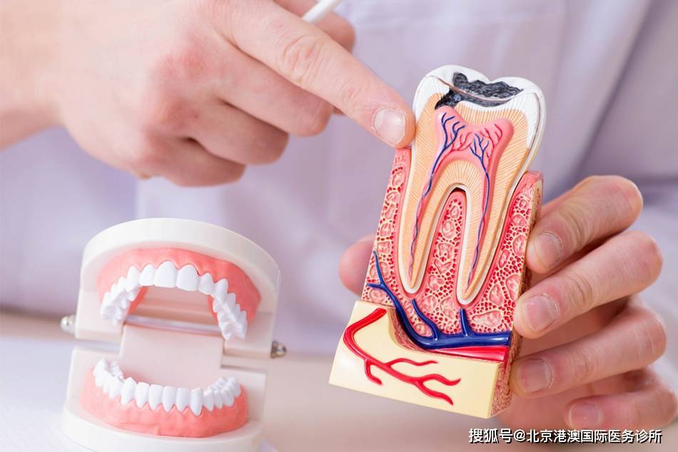 牙齒脫落影響全身健康 口腔醫生告訴您牙掉了該怎麼辦?