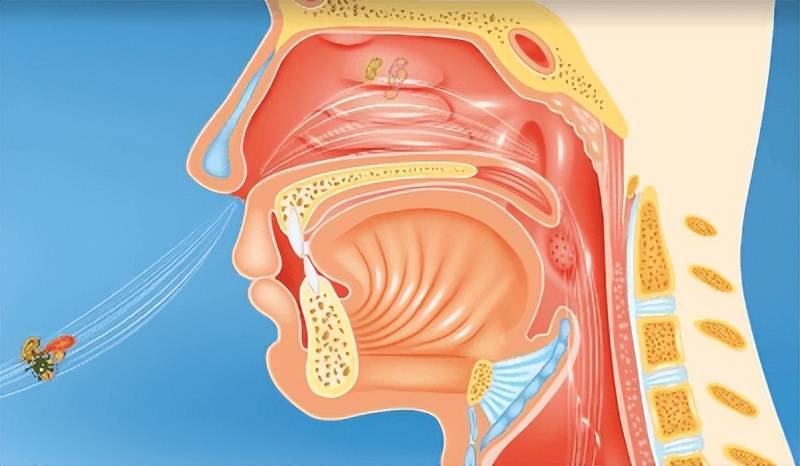 会诊通知 |鼻塞流涕就是感冒吗?来,听听专家如何说!_症状_鼻腔_全身