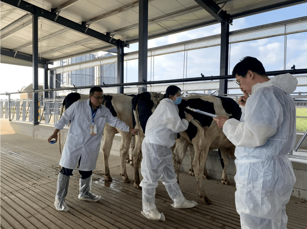 【"沂"起学理论】巾帼风采展|县畜牧发展促进中心——刘冬梅_工作