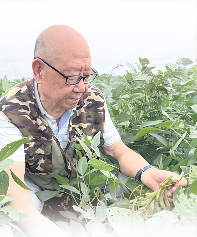 每一片大豆产区都去过_盖钧镒_研究_中国