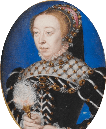 伊丽莎白一世和安茹公爵差点结婚,但不知因何二人最终未能成婚_法国