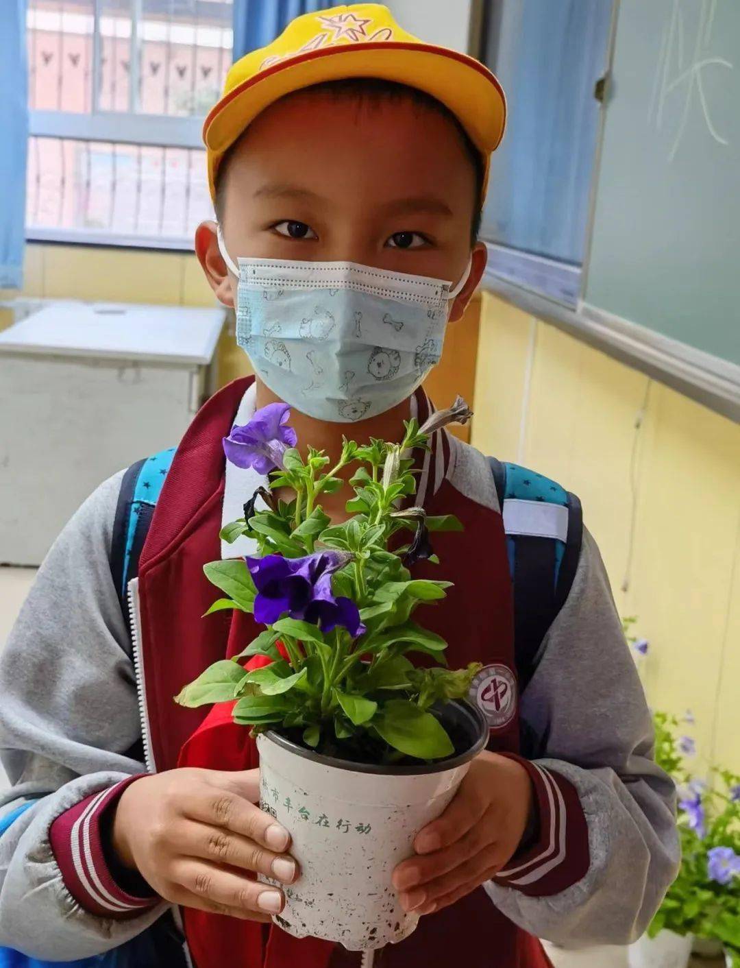 阳春小学卢沟桥二小北京十二中附小北舞附小东高地三小西校区东铁营