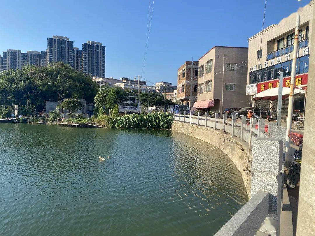 村容村貌焕然一新,金海街道实现"美丽大变身"!