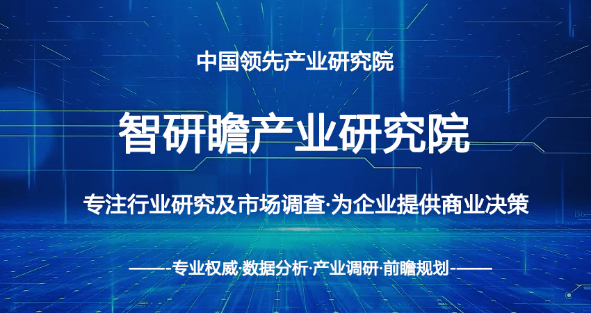 中国锂精矿行业发展趋势及投资风险研究报告