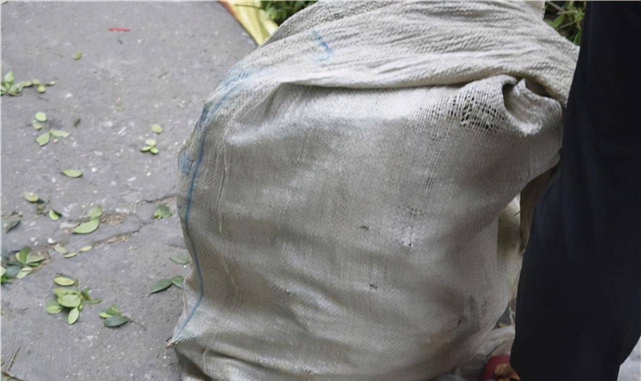 1995年,老头捡到一麻袋"冬瓜",背后竟牵扯出一桩富