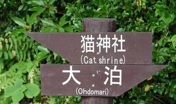 赐予美丽、为猫祈福：这些特殊的日本神社，也许你会想专程前往