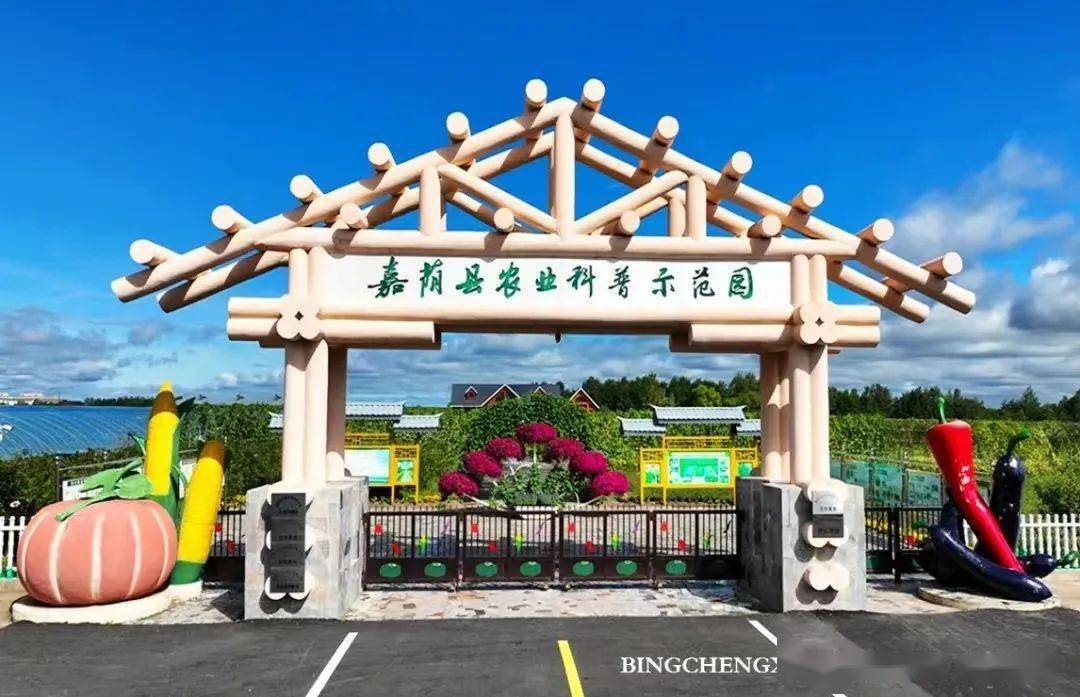 【亲水图谱】黑龙江大美之秋:沃野千里稻浪黄_农业_佳木斯_文化