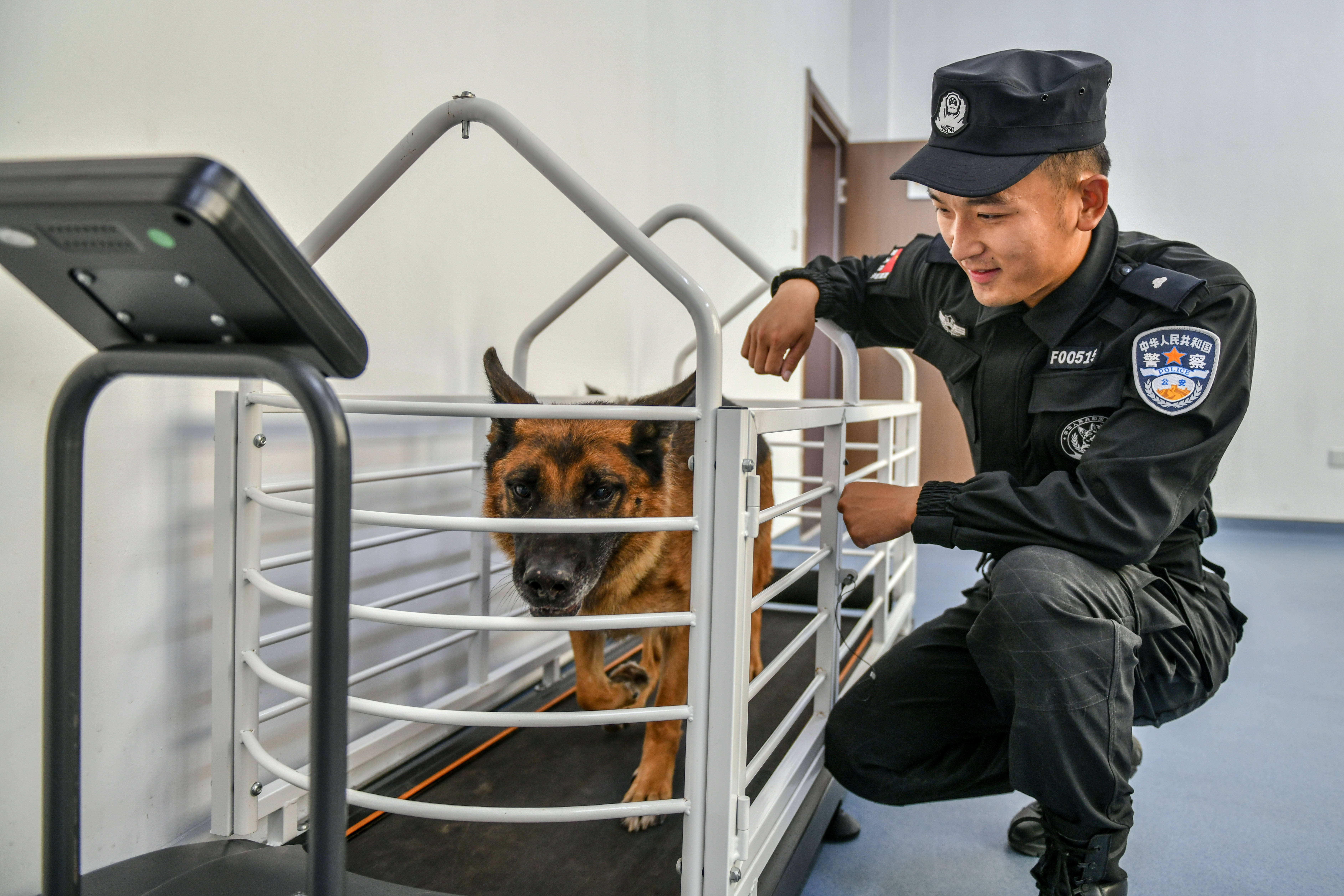 北京公安局警犬基地图片