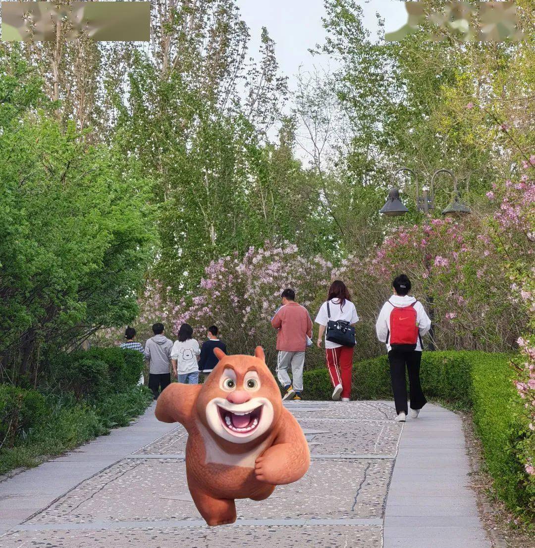 奔跑回宿舍熊大陪同学们学习过后准备学习赶紧招呼熊