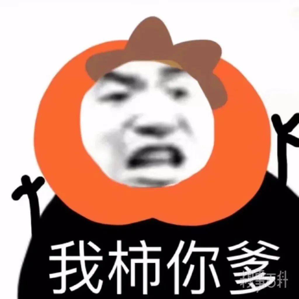 软柿子的自我介绍