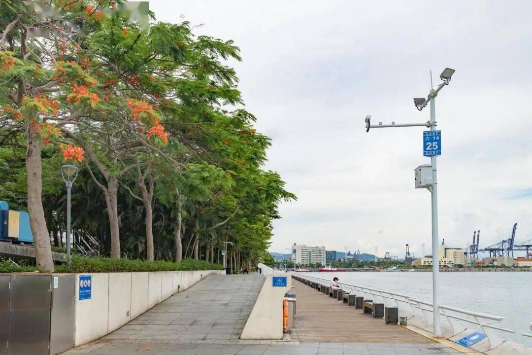 沙頭角段的海濱棧道散步是可以看海的濱海公園名副其實緊挨著鹽田中央