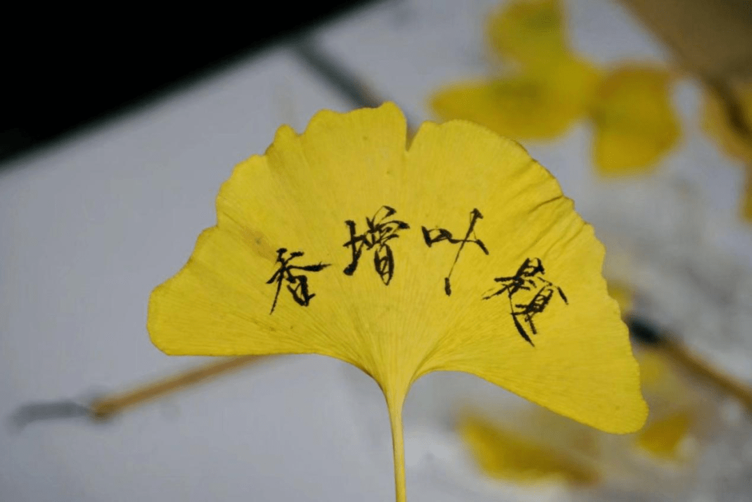 长安大学书画协会风采展示_作品展_活动室_学子