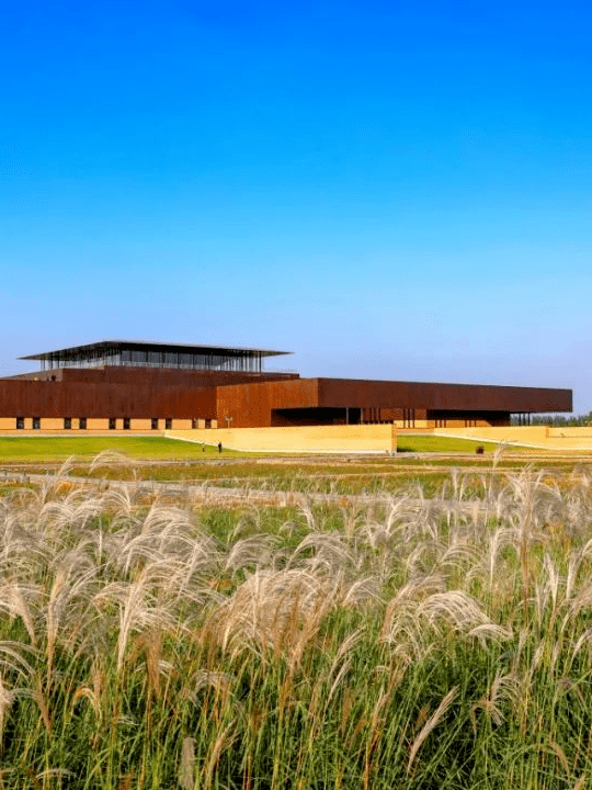 秋日无限好,让洛阳秋天的美景治愈生活中的疲倦~_西苑公园_美的_油画