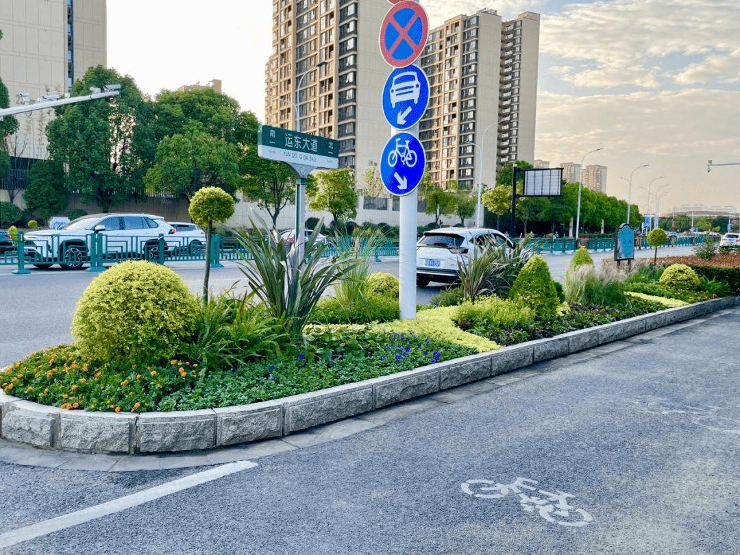"考虑到整体的美观度和成本控制,重要节点道路的岛头我们都设计种植了