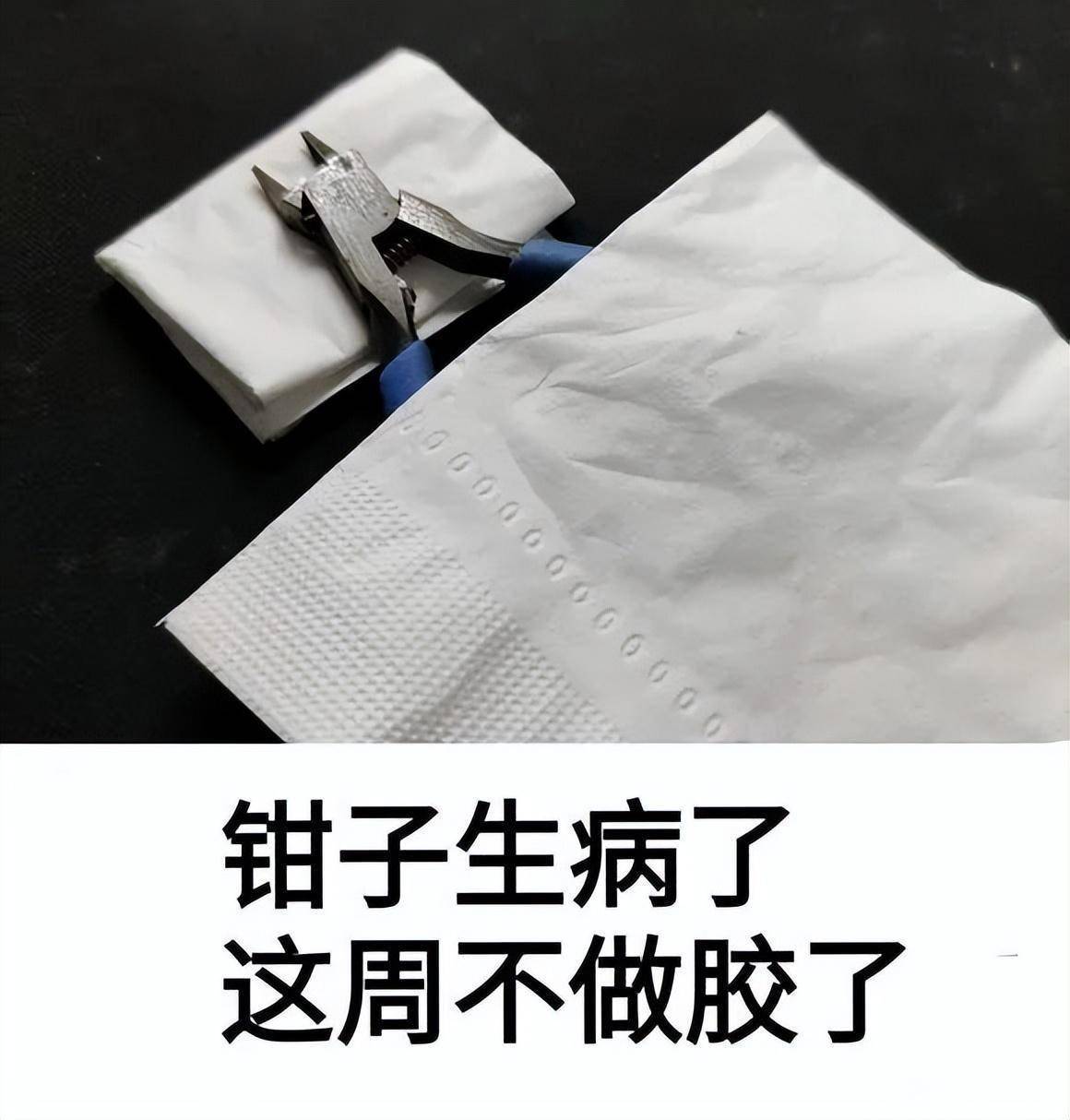 参赛冠军亮相,胶圈大佬云集!明晚7点范总&敏总同你讲"胶"情