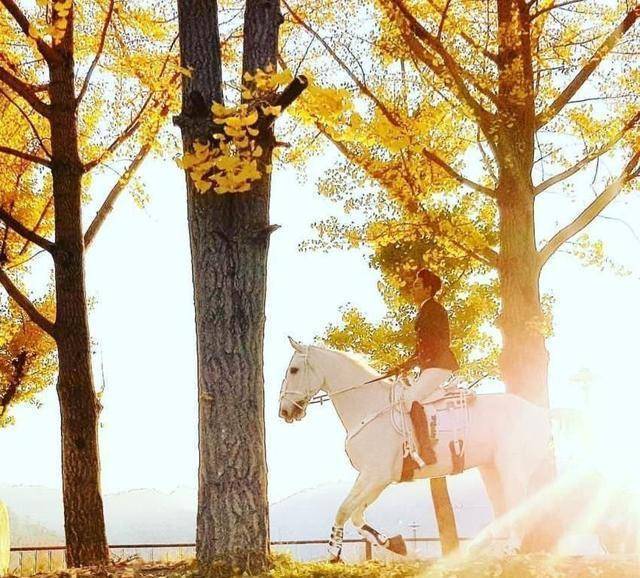 新作30秒预告燃爆,长腿欧巴暴瘦式颜值再现韩剧扛把子_造型_白马_王子