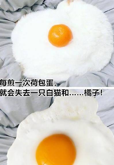 猫咪和二哈互换头像,出现爆笑效果:一个小头巨婴一个大头娃娃!