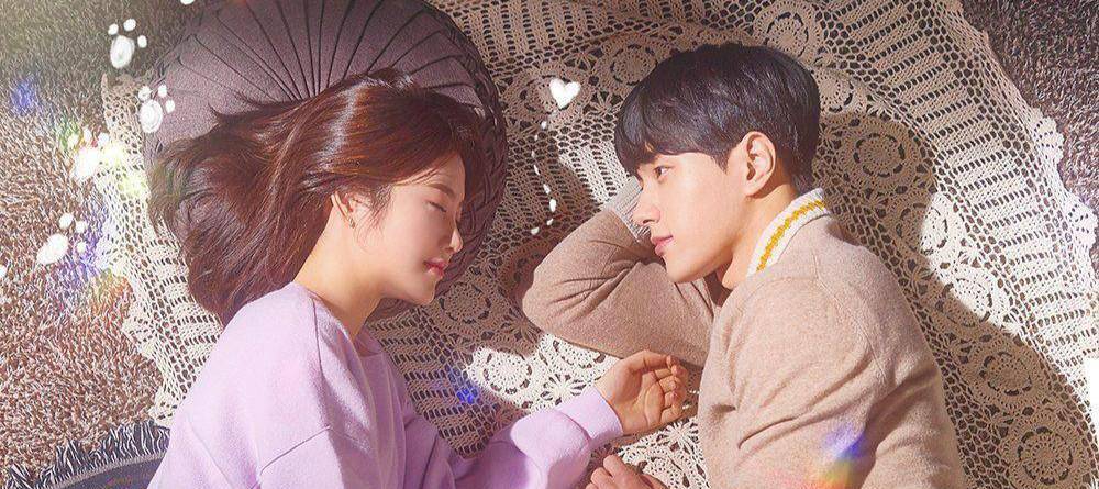 韩剧《你回来了》首播,口碑爆棚,金明洙辛睿恩上演猫系爱情_电视剧