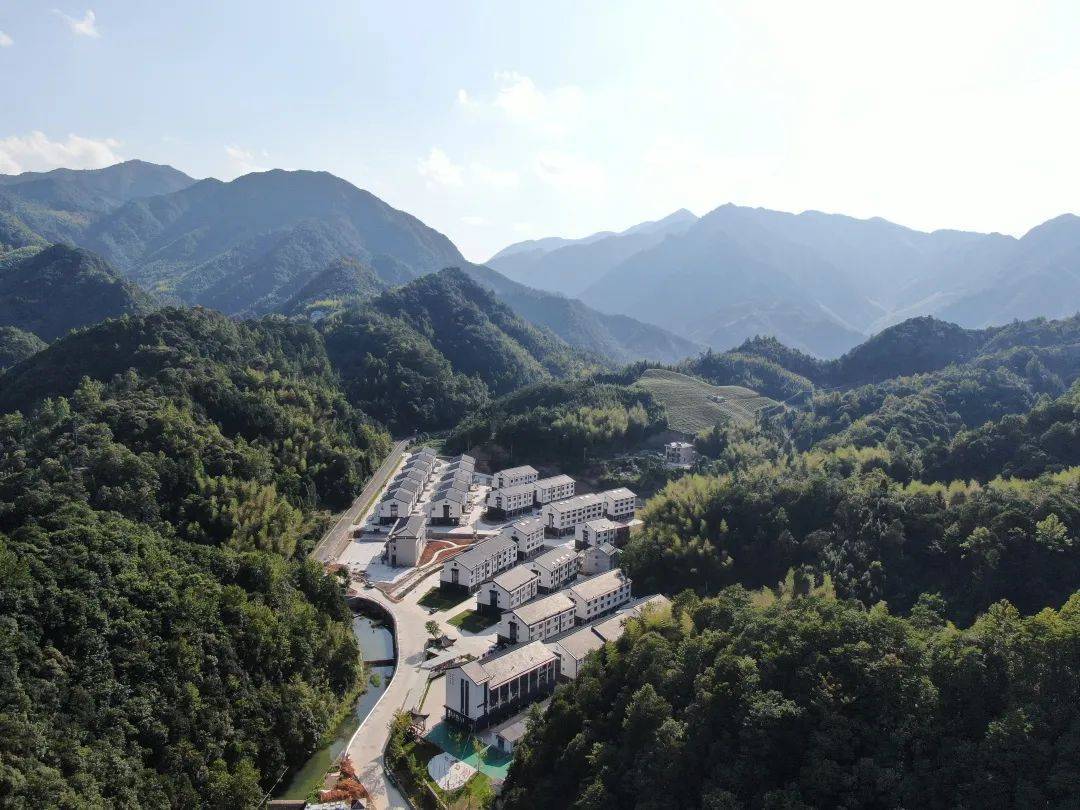 盛产蜜橘的台州黄岩,用一盏盏"小橘灯"点亮山乡"共富路"_宁溪镇_村民