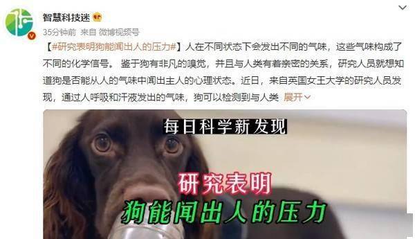 研究表明狗能闻出人的压力 网友：嗅觉灵敏的人可以吗_https://www.jinrisc.com_站长资讯_第2张