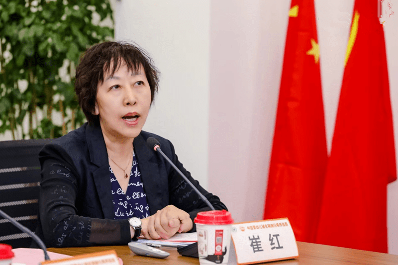 崔红主任医师在"中国婴幼儿精细化辅食喂养指南"研讨会上介绍项目及