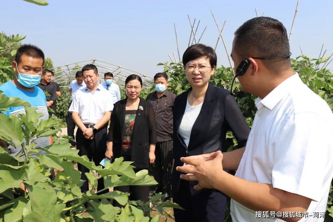 曹临一行到胡集镇调研乡村振兴和经济发展等有关工作,副区长郑巧玲,区