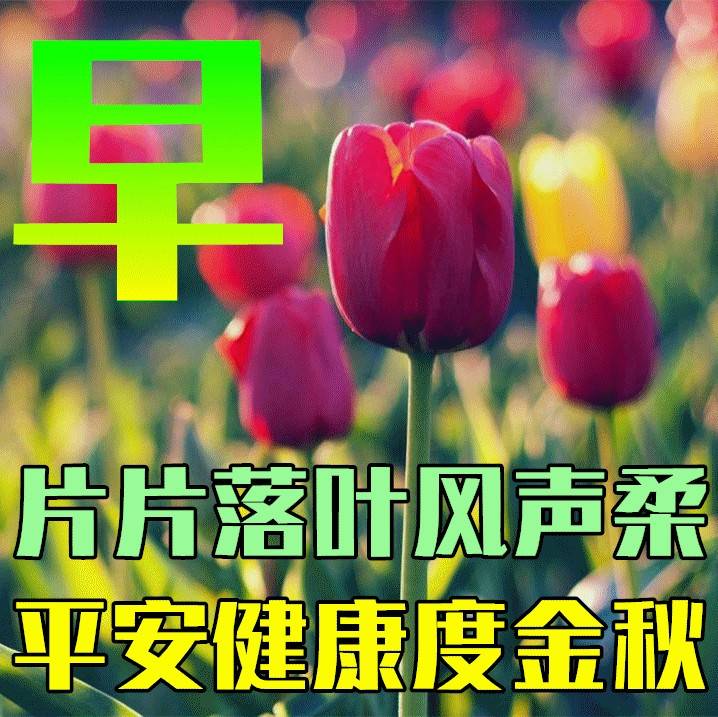 9月30日秋天早上好动态表情图片大全，早晨好动图美图大全 亲爱的朋友 生活 时间