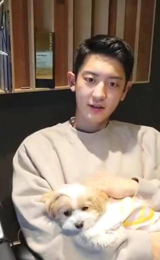 exo朴灿烈退伍后首开直播,穿灰色卫衣素颜无惧怼脸镜头_休闲_兵役