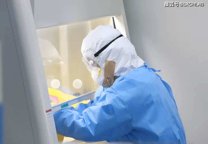 PCR“实验室”污染方式及注意事项_反应_操作_标本