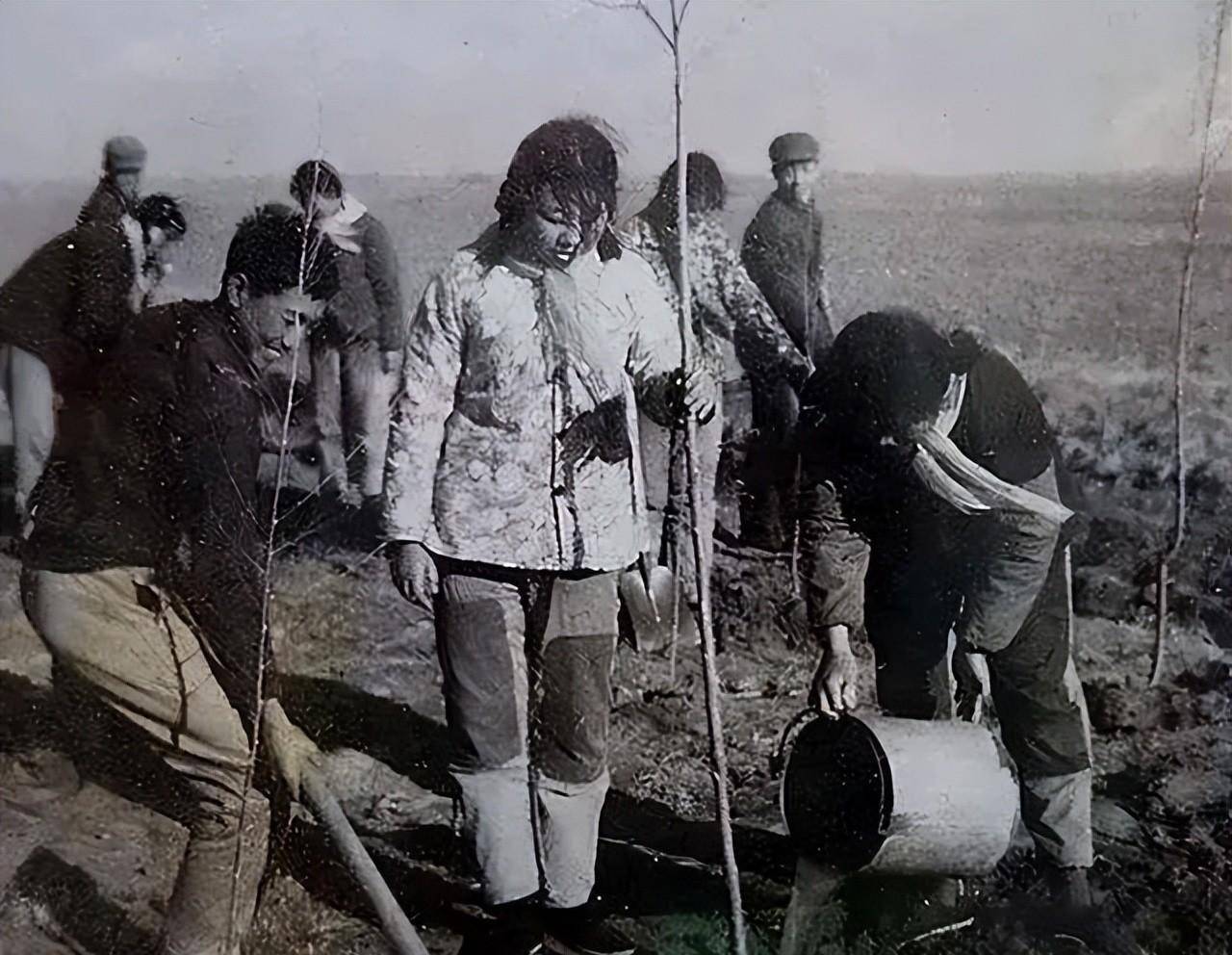50年前,美女大学生知青白启娴负气嫁给一位农民,她的结局怎样?