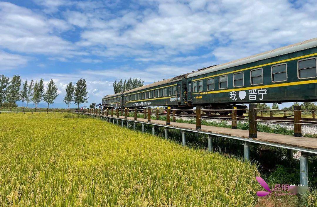 打卡"麦田里的火车"_沙堤村_晋宁_昆明