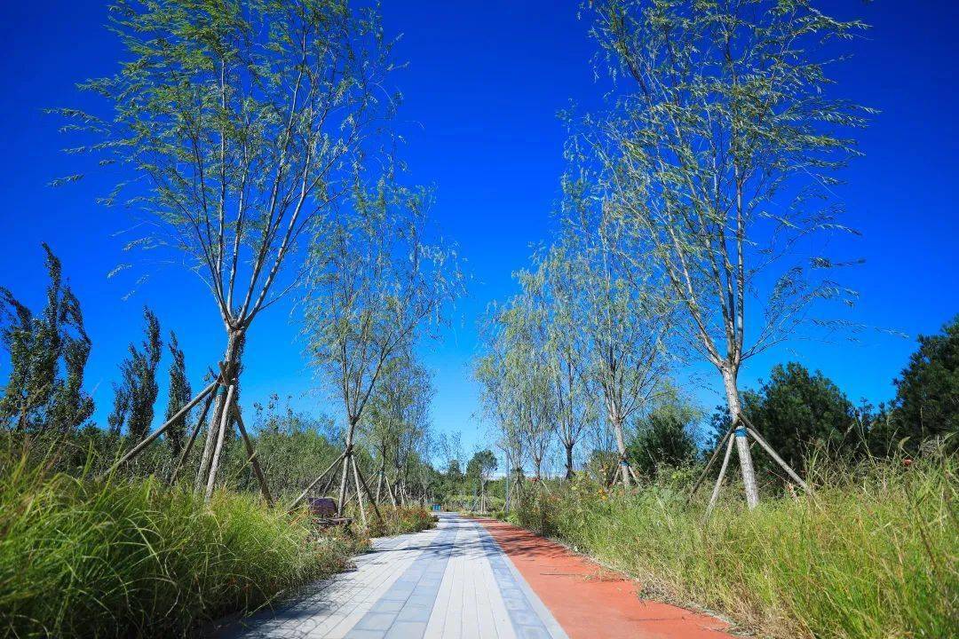 这个"十一",大兴区再添一公园!快来打卡~_休闲_景观_功能