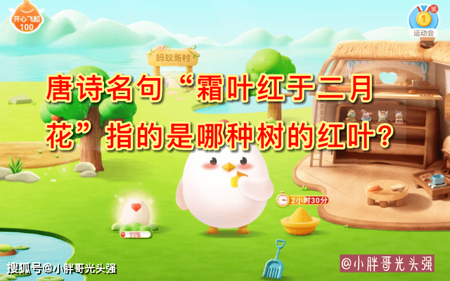 唐诗名句 霜叶红于二月花 指的是哪种树的红叶 蚂蚁庄园小知识 答案 问题 梧桐树