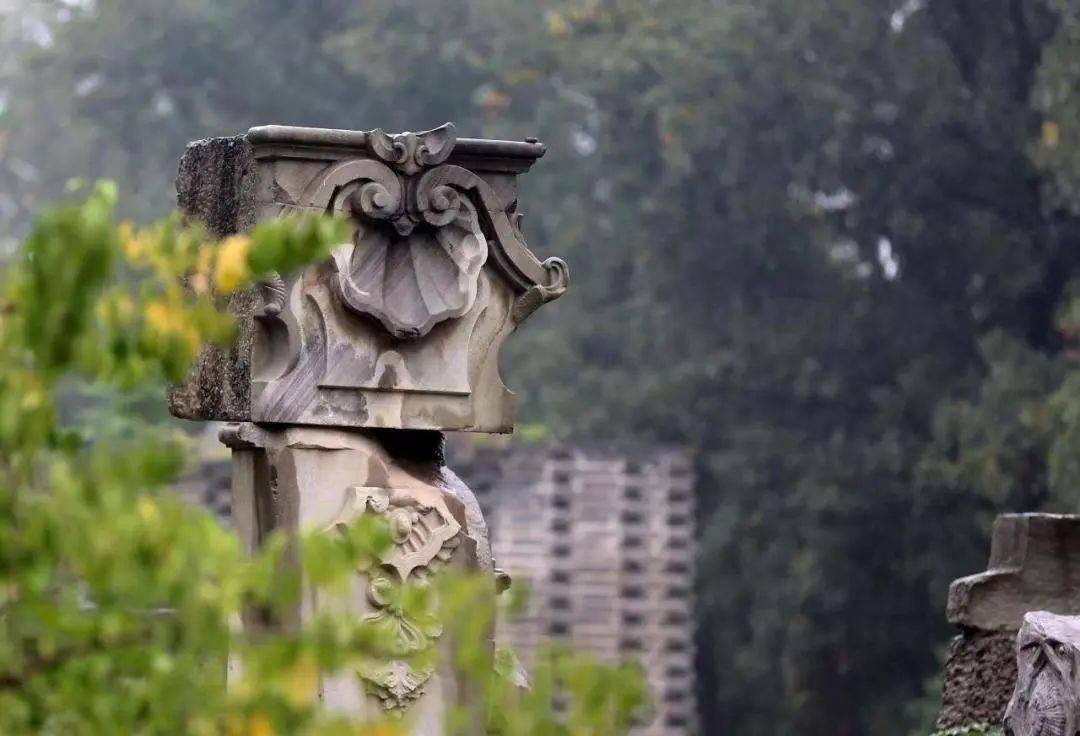 法国雨果圆明园图片