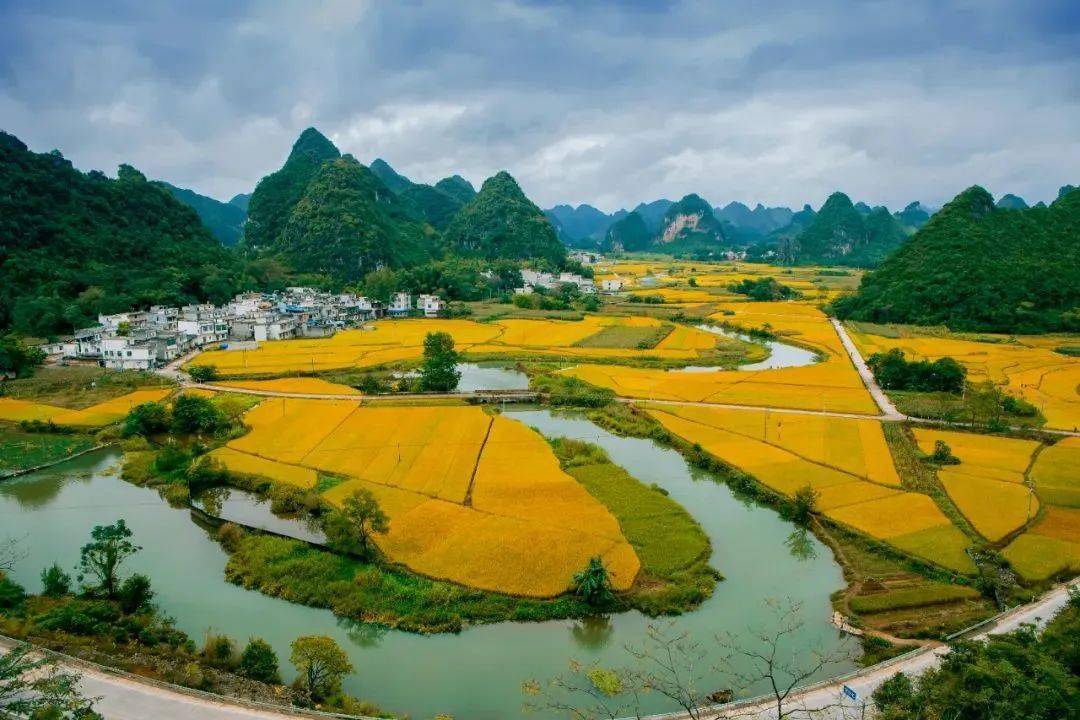 国庆出游指南 | 请千万别错过 天等的这一场秋