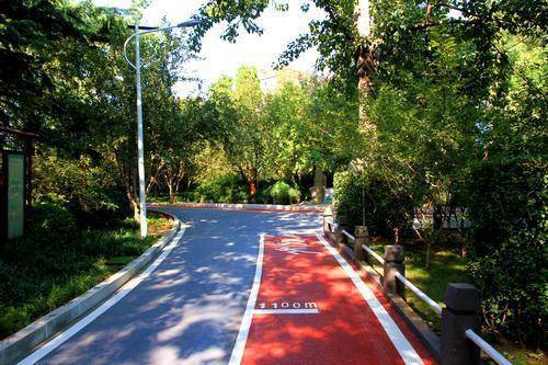 ?全长1500米 彩色步道亮相郑州碧沙岗公园