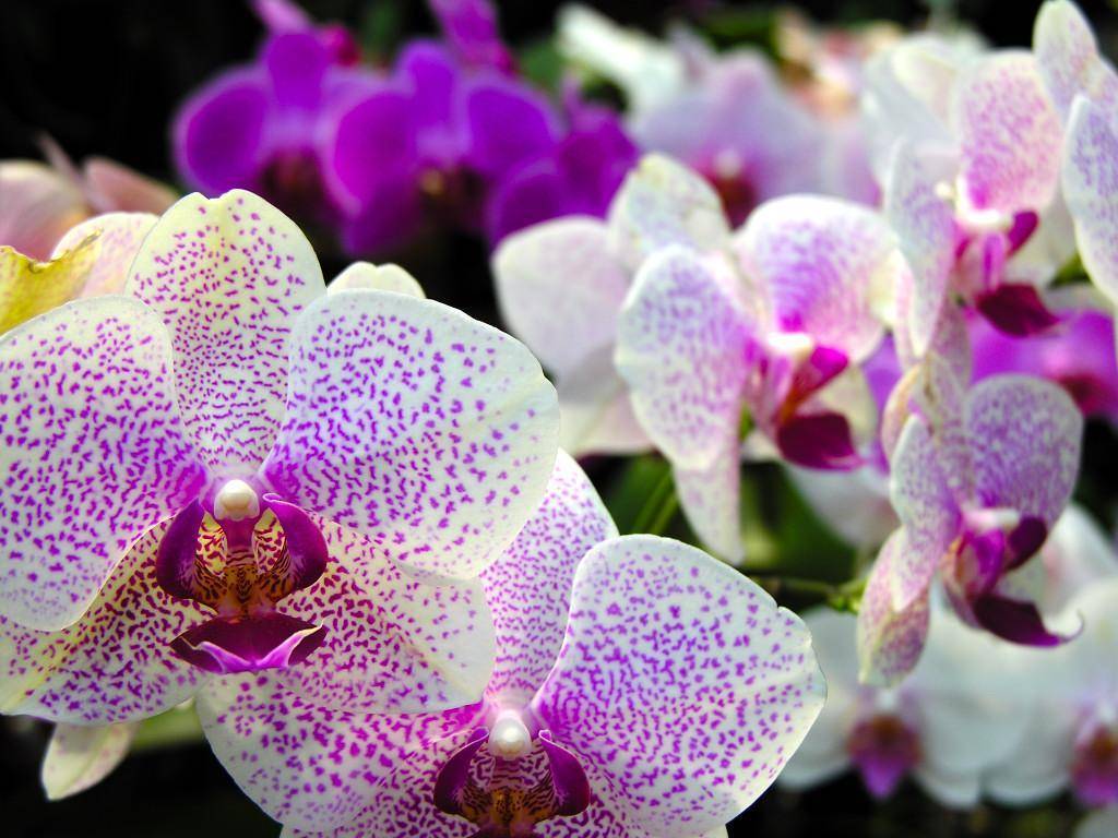 10月4日 11日星座运势 与时俱进 节节攀升的四大星座 生活 未来 时候