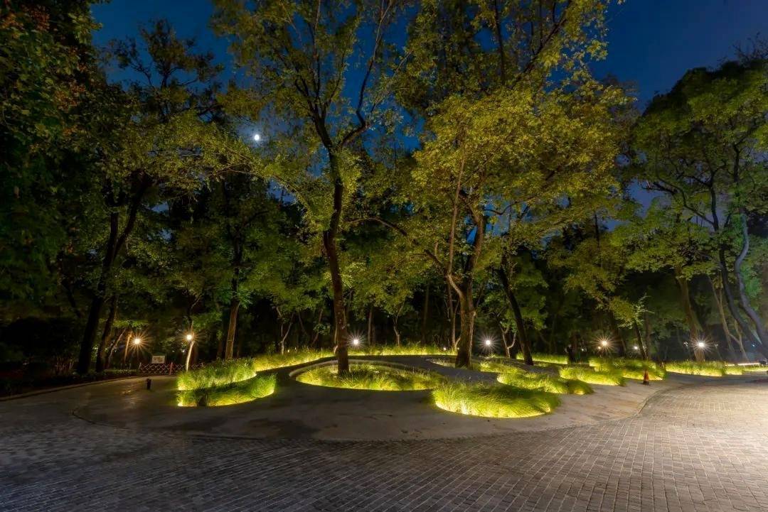 2公里的夜景美爆了!_灯光_光影_节点