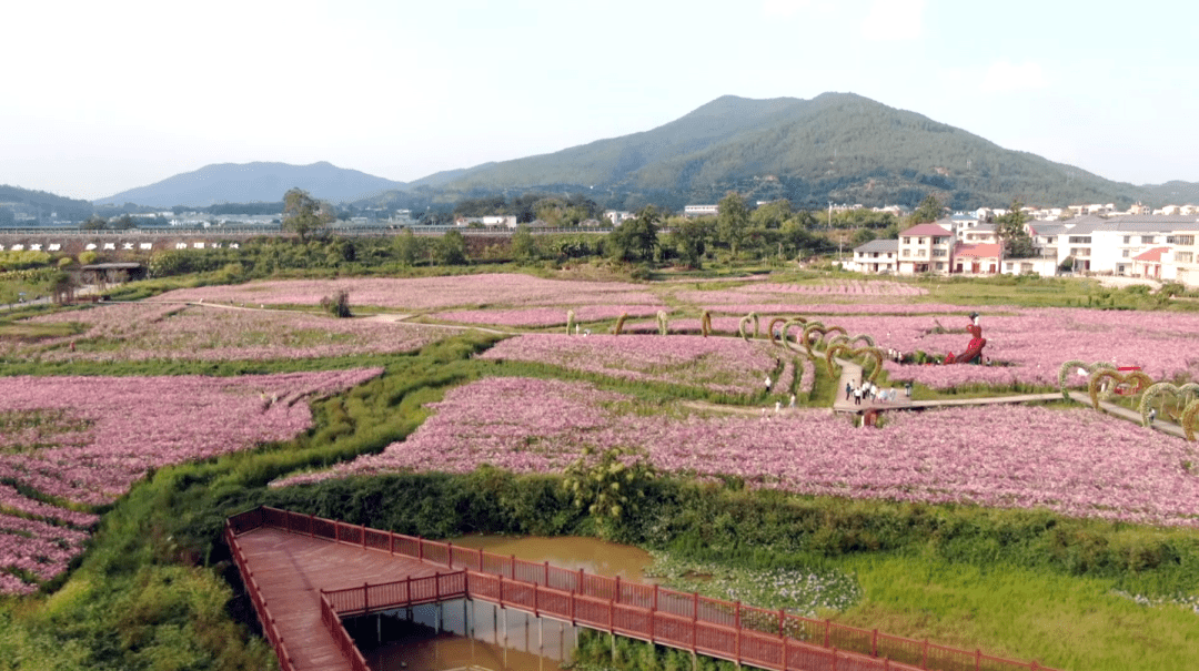 会昌小密花乡景区图片图片