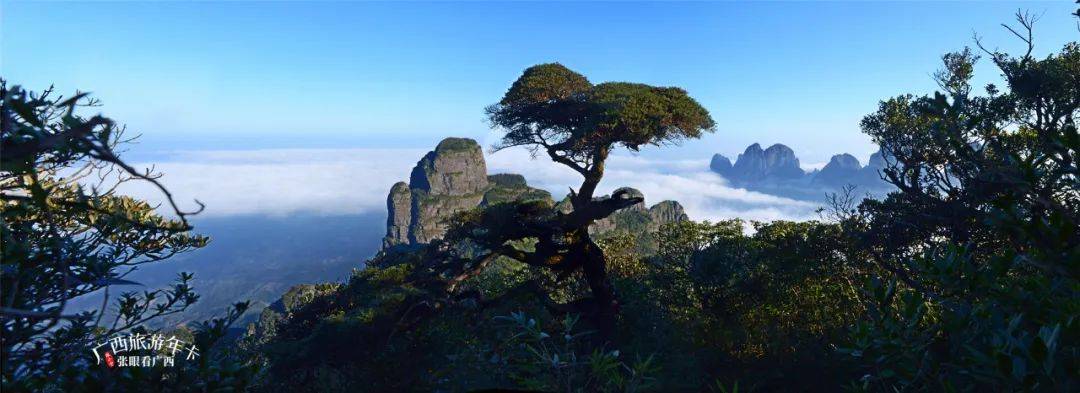 广西海拔千米之上的5座大山,重阳登高值得一去!