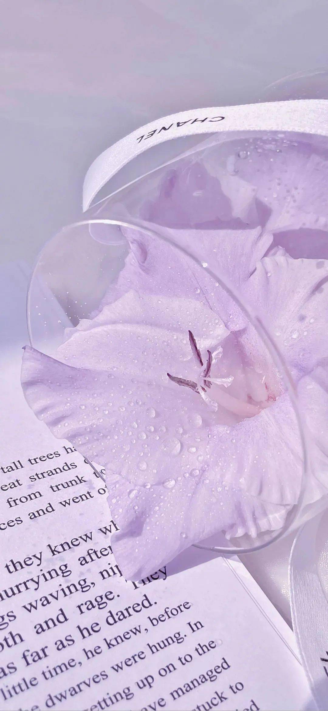 壁纸| 梦幻紫色系壁纸合集_wi-fi_图片_网络