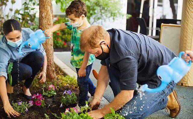 种"勿忘我"致敬婆婆,凯特却没动静_威廉哈里_衬衫_look