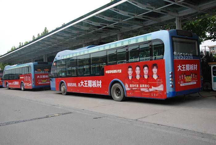 红火临沂迎国庆丨大王椰全新国羽广告覆盖临沂三区九县!