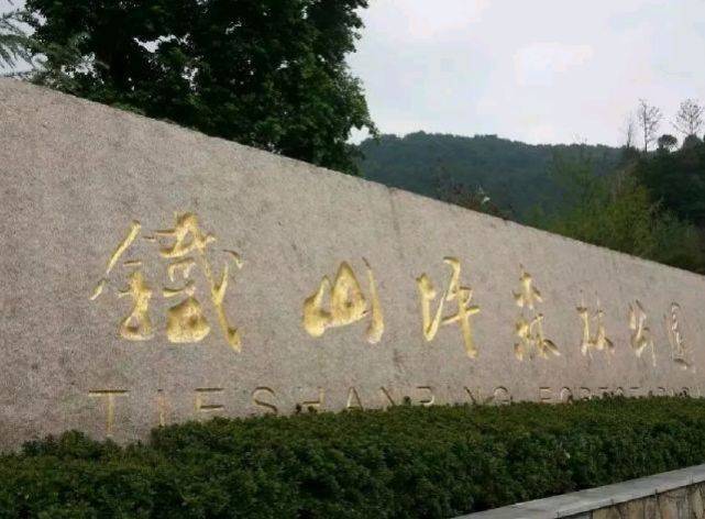 重庆被忽略的森林公园，号称中国森林氧吧，是国家级森林公园