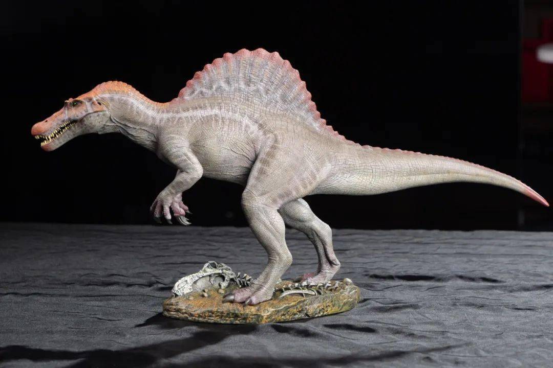 这个国庆节假期,就交给本心楠改棘背龙2.0了!_模型_恐龙_造型